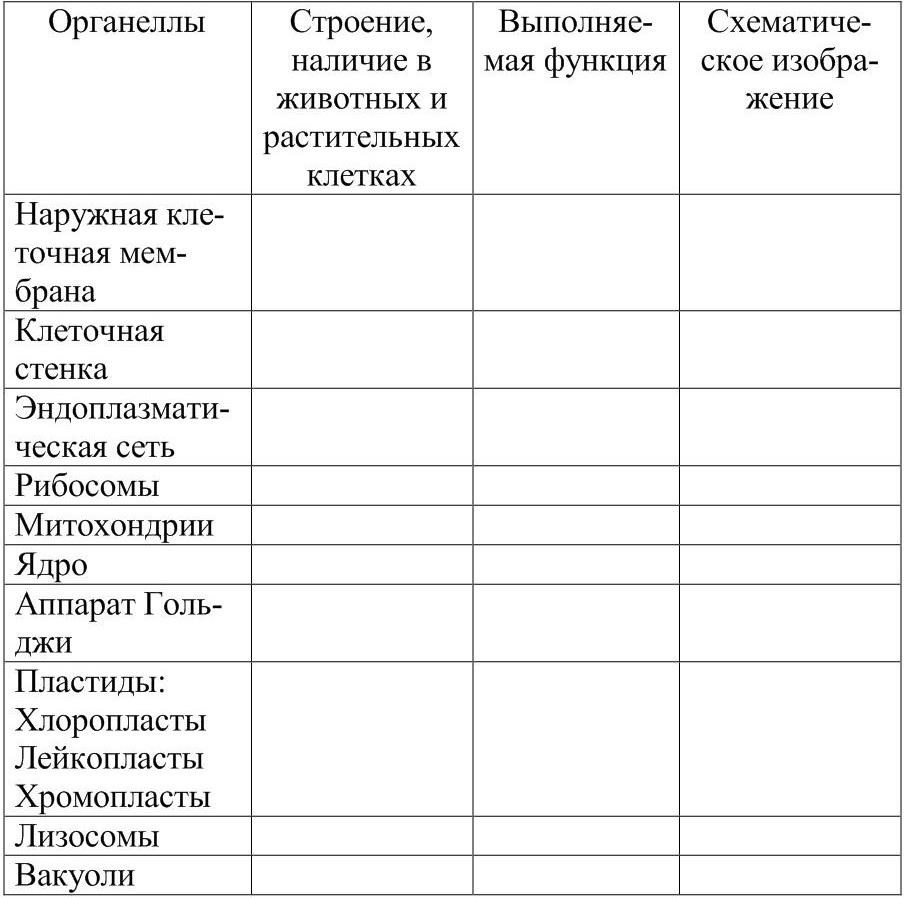 Органоиды клетки и их функции таблица 10 класс с рисунками