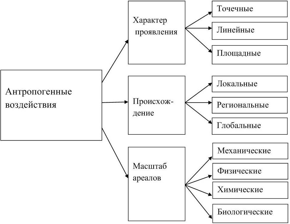 Антропогенные изменения почвы схема