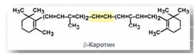 Конспект НОД по рисованию с детьми 6–7 лет «Витамины в жизни человека»