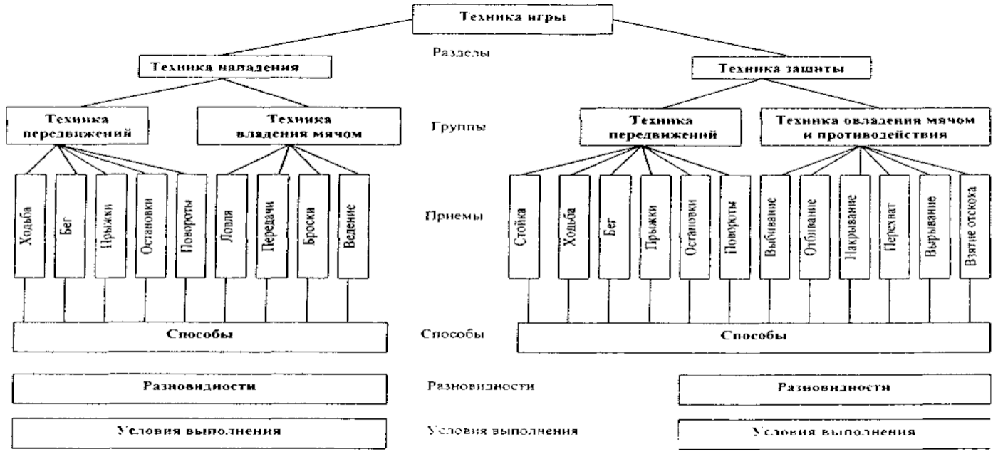 Классификация техники баскетбола. Тактика баскетбола классификация. Классификация техники и тактики игры в баскетбол. Техника игры в баскетбол схема.