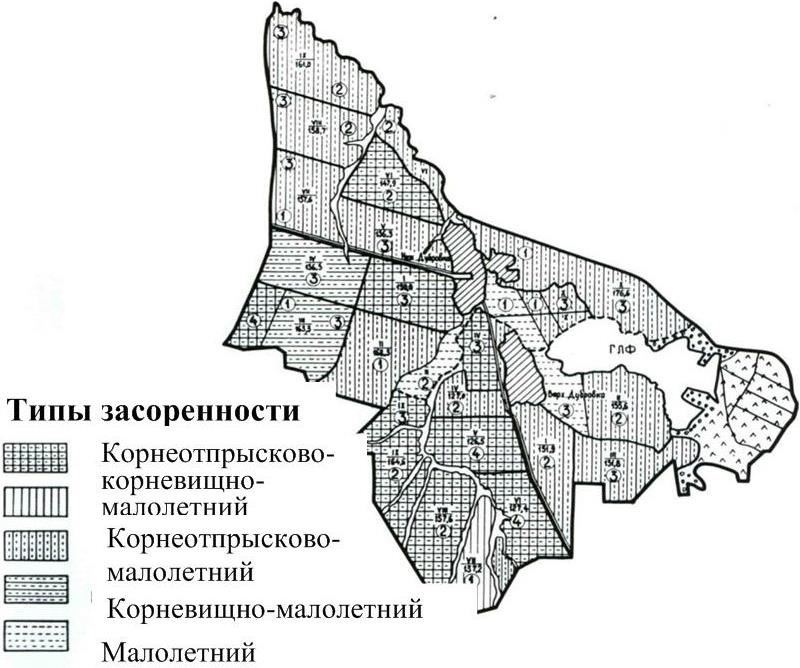 Карта засоренности полей