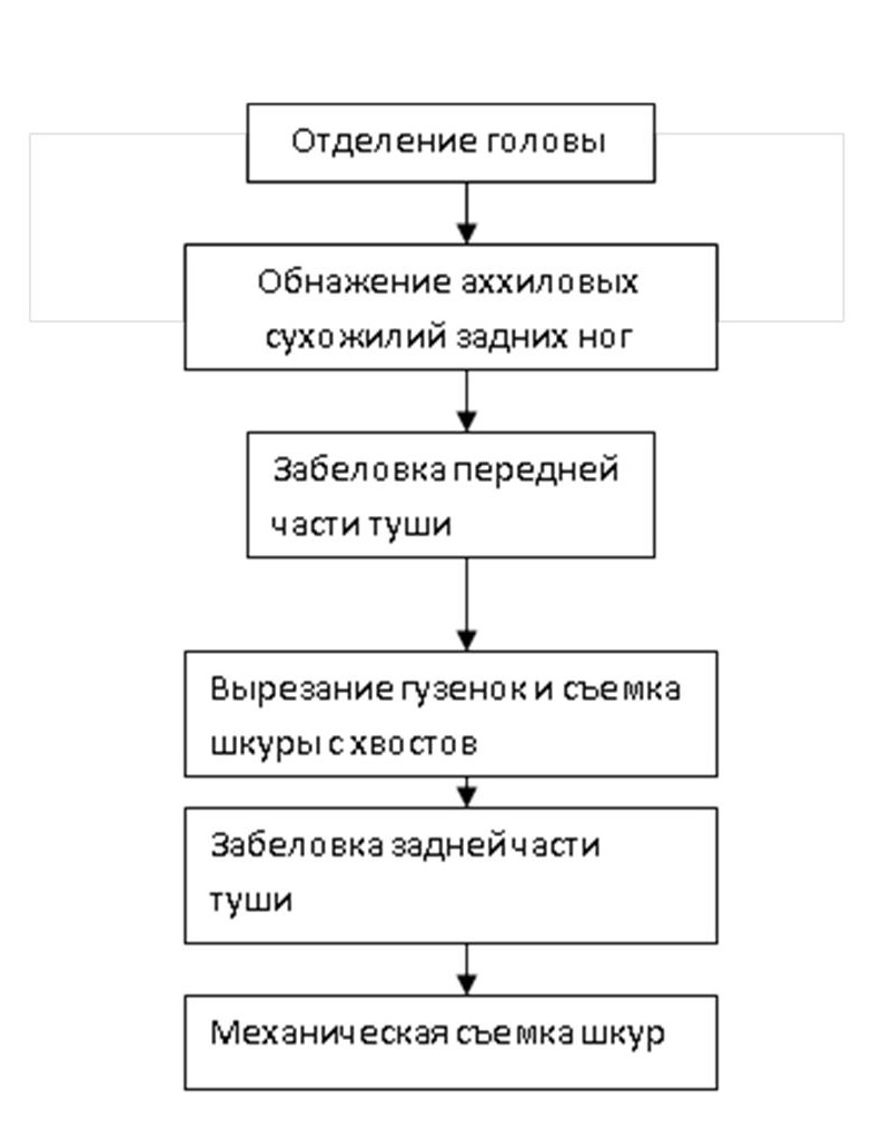 Заполните схему указав операции превращения шкуры в кожу