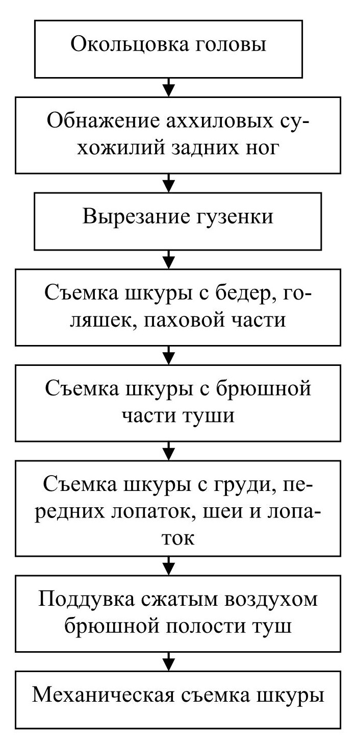 Технологическая схема свиней в шкуре