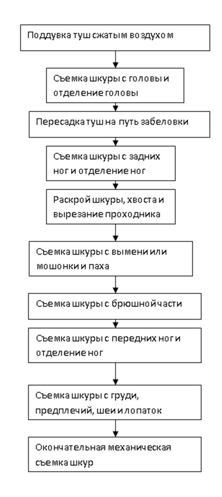 Технологическая схема первичной переработки крупного рогатого скота