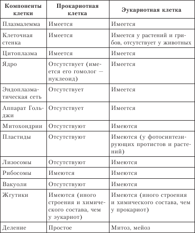 Составьте таблицу прокариоты и эукариоты. Строение эукариотической клетки таблица органоид строение функции. Строение клетки эукариот таблица строение и функции. Таблица органоиды эукариот и функции. Строение и функции органоидов эукариотной клетки таблица.