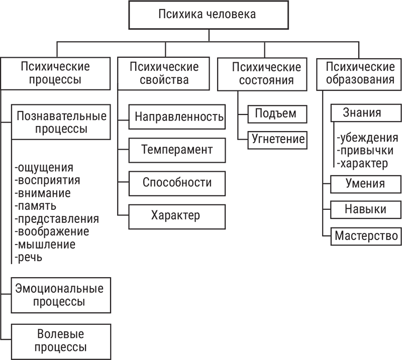 Структура психики человека схема