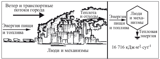 Что такое экосистема города. Смотреть фото Что такое экосистема города. Смотреть картинку Что такое экосистема города. Картинка про Что такое экосистема города. Фото Что такое экосистема города