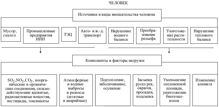 Что такое экосистема города. Смотреть фото Что такое экосистема города. Смотреть картинку Что такое экосистема города. Картинка про Что такое экосистема города. Фото Что такое экосистема города