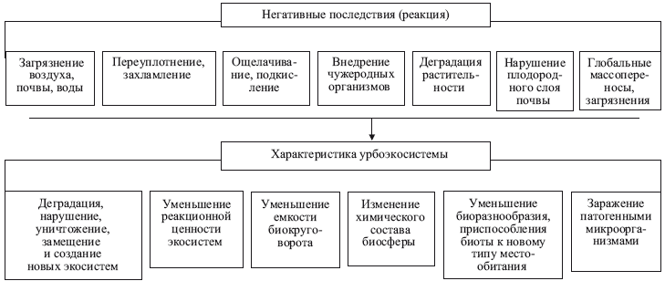 Что такое экосистема города. Смотреть фото Что такое экосистема города. Смотреть картинку Что такое экосистема города. Картинка про Что такое экосистема города. Фото Что такое экосистема города