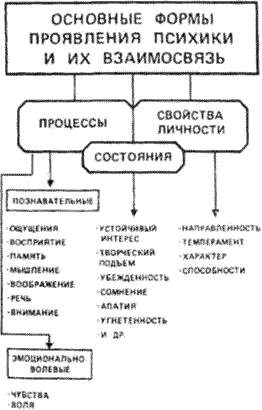 Проявления психики. Схема основные формы проявления психики. Формы проявления психики и их взаимосвязь. Основные формы проявления психики и их взаимосвязь. 3. Основные формы проявления психики и их взаимосвязь..