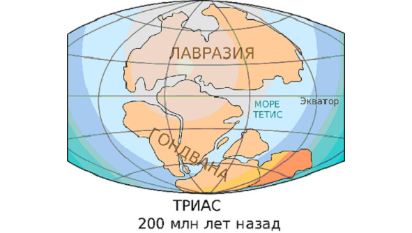 Лавразия и гондвана картинки