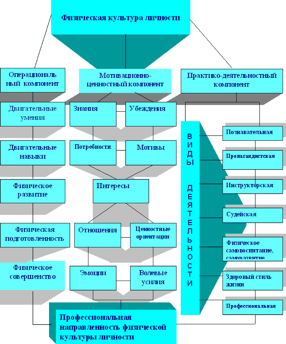 Компонента физической культуры личности не существует. Структура физической культуры личности. Физическая культура личности схема. Структура физической культуры личности схема. Формирование физической культуры личности.