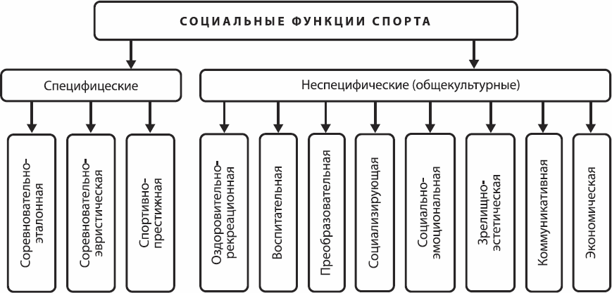какие социальные функции выполняет спорт. Смотреть фото какие социальные функции выполняет спорт. Смотреть картинку какие социальные функции выполняет спорт. Картинка про какие социальные функции выполняет спорт. Фото какие социальные функции выполняет спорт