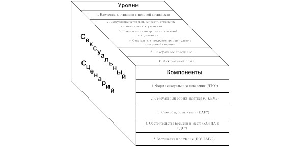 Половое или сексуальное поведение человека является одним из вариантов социального поведения