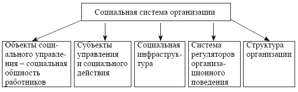 2 социальная система. Виды социальных систем в организации. Структура социальной организации. Основные элементы социальной подсистемы организации. Организация как социальная система.