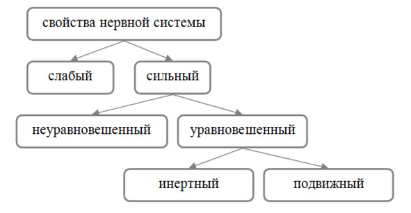 Свойства нервной системы