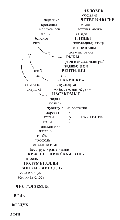 автор учения о лестнице природы. Смотреть фото автор учения о лестнице природы. Смотреть картинку автор учения о лестнице природы. Картинка про автор учения о лестнице природы. Фото автор учения о лестнице природы