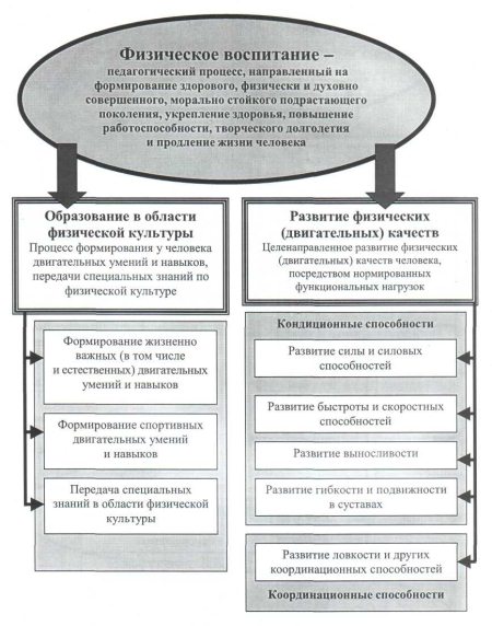 Основы теории и методики физического воспитания в кёкусин кан каратэ . Учебно-об
