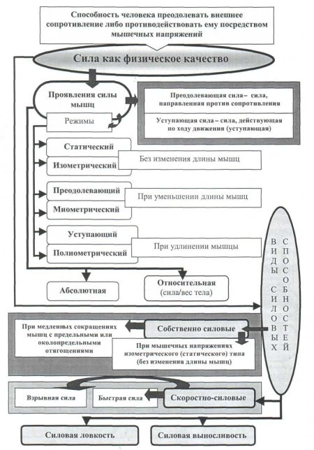 Классификация силовых способностей схема