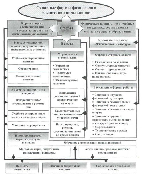 Основы теории и методики физического воспитания" . Теоретические и методические