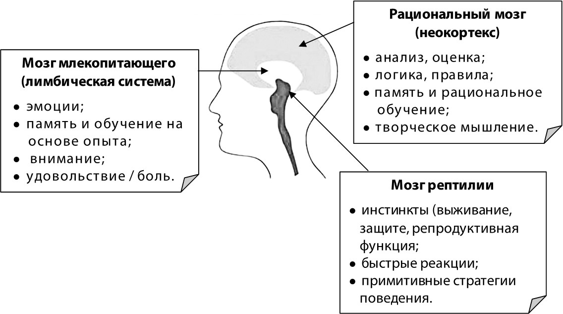 screen_image_19_74_72