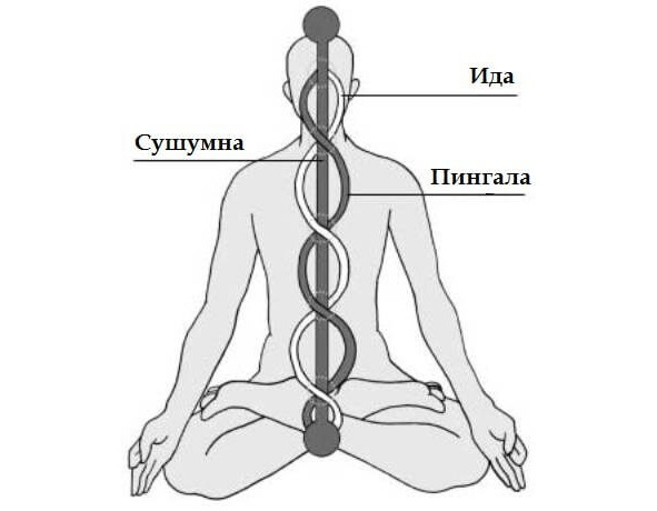 Чакры: строение, функции, свойства и влияние на жизнь