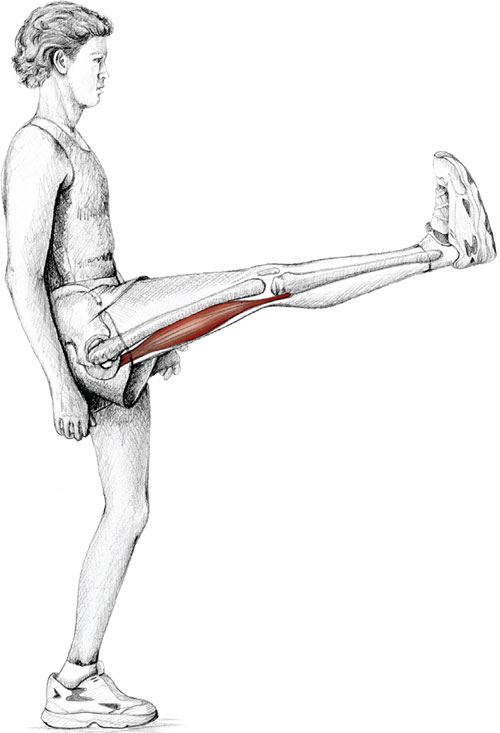 pnf stretching что это. Смотреть фото pnf stretching что это. Смотреть картинку pnf stretching что это. Картинка про pnf stretching что это. Фото pnf stretching что это