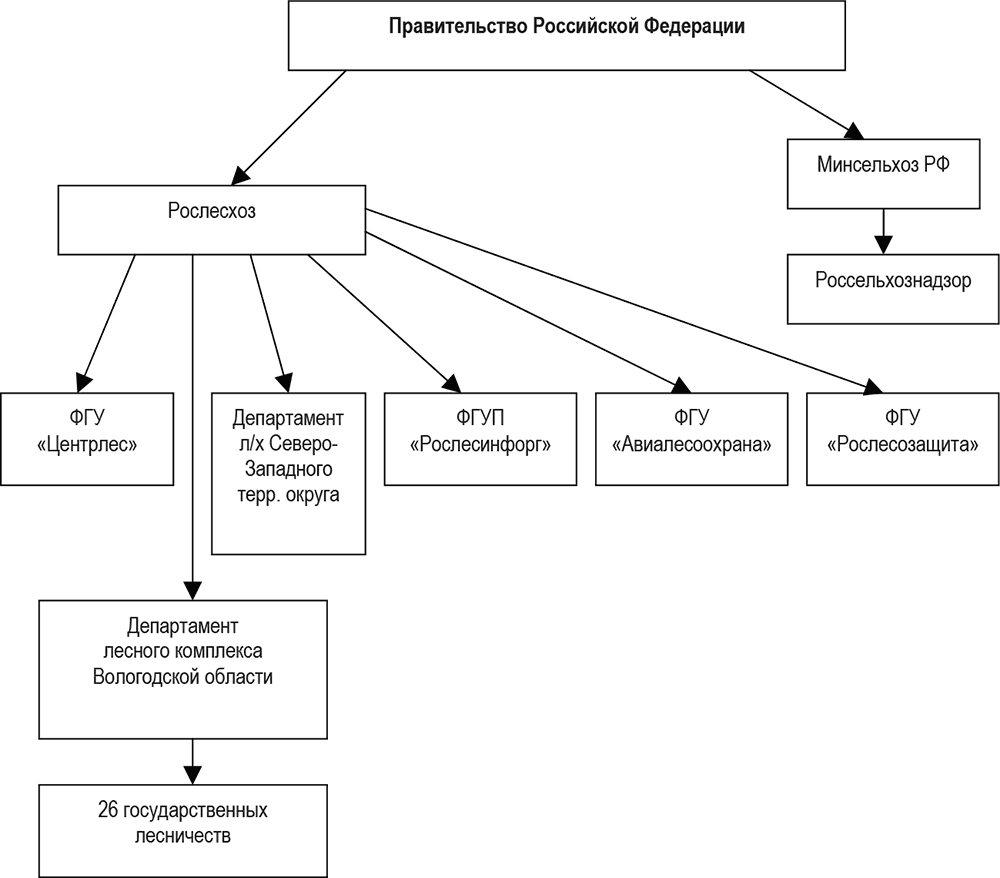 Нарисуй схему управления. Структура управления лесным хозяйством в России. Структура органов управления лесным хозяйством в субъектах РФ. Структура лесного хозяйства РФ схема. Организационная структура управления лесами России.