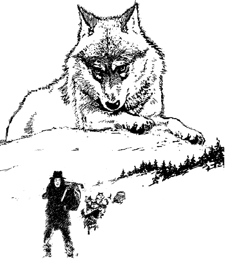 Произведение бурый волк