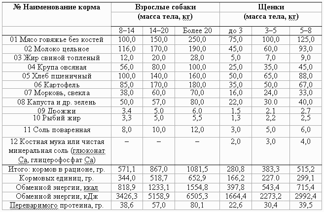 Сколько должна пить собака