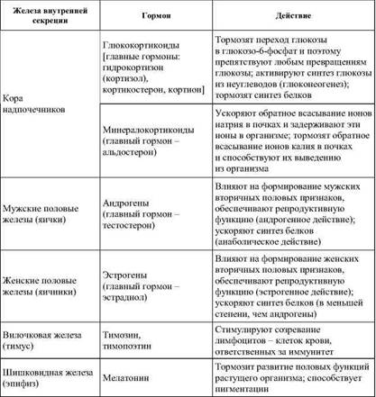 Общая характеристика желез внутренней секреции