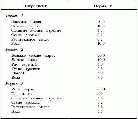 Стул у кошек при натуральном кормлении