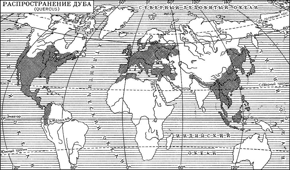 Ареал распространения. Дуб черешчатый ареал. Ареал дуба черешчатого на карте мира. Дуб черешчатый ареал распространения карта. Граб обыкновенный ареал.