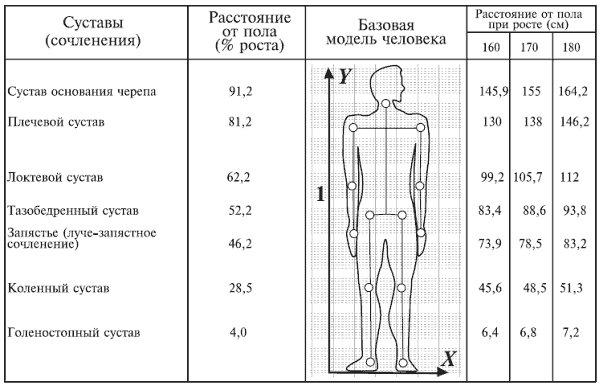 Распределение массы. Центр масс тела в биомеханике. Распределение массы тела в теле человека. Параметры человека. Физиологические параметры человека.