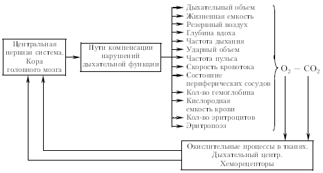 Формирует планы создания системы разоружения