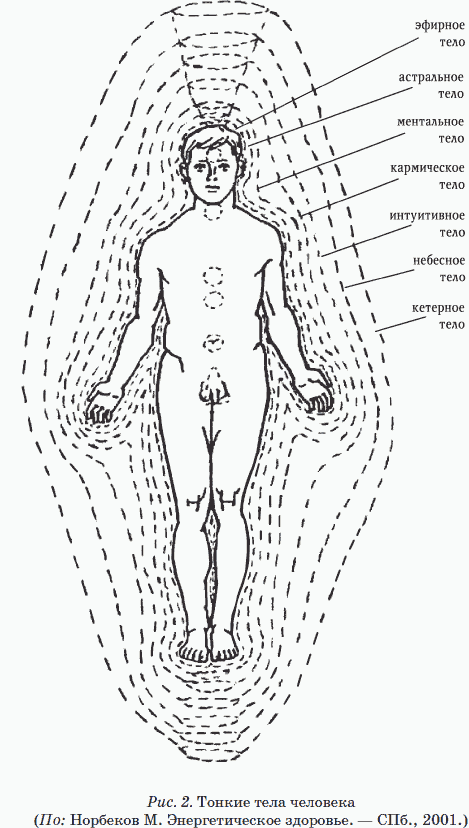 Тонкие тела человека. Схема энергетических тел человека. Эфирное тело астральное тело. Тонкие энергетические тела человека.