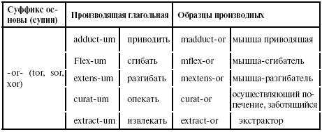 Суффиксы существительных в латинском языке таблица