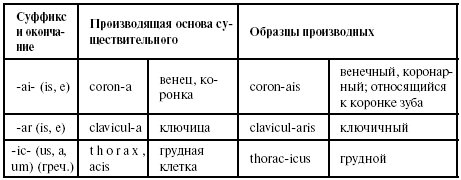 Суффиксы существительных в латинском языке таблица