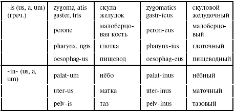 Суффиксы существительных в латинском языке таблица