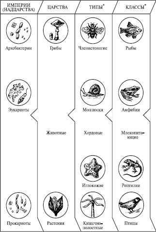 Схема слова организмы