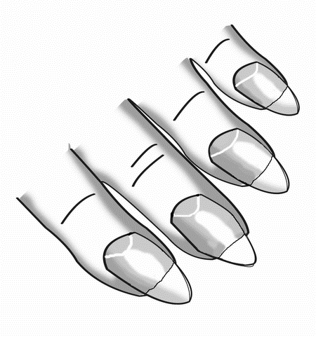 Длинные ногти рисунок карандашом