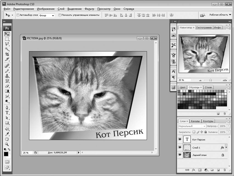 Контрольная работа: Использование масок слоев и работа с текстовыми слоями в программе Adobe Photoshop