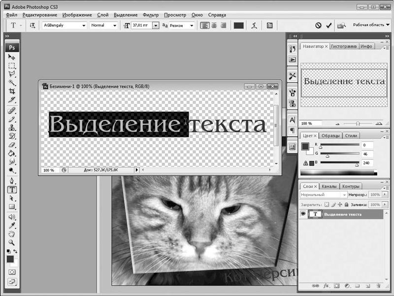 Контрольная работа: Использование масок слоев и работа с текстовыми слоями в программе Adobe Photoshop