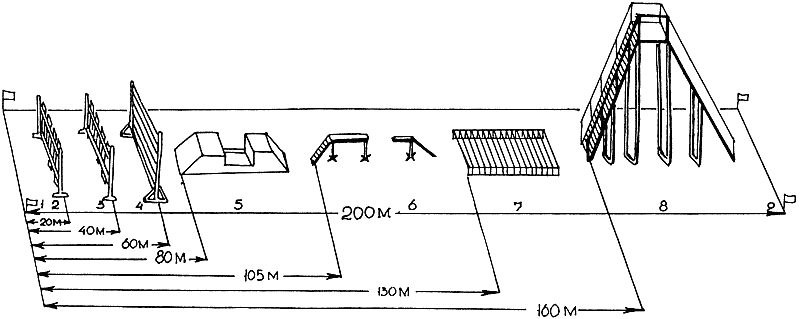 Проект кинологического центра для служебных собак