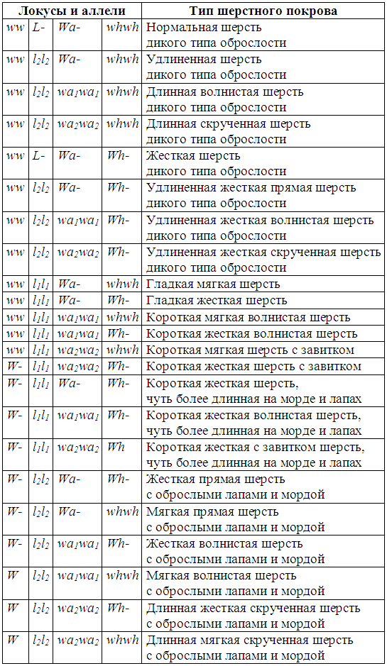 Реферат: Роды и их особенности у собак различных пород