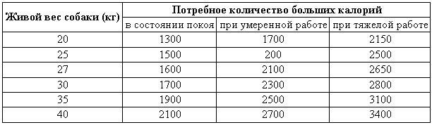 Суточная потребность собаки в калориях. Норма калорий для собак. Суточная норма калорий для собаки. Норма калорий в день для взрослой собаки. Сколько должна пить собака