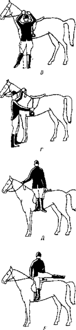 Как правильно верхом. Вольт на лошади схема. Парная езда на лошадях схема. Езда верхом на лошади название упражнений для людей. Как правильно держать ноги на лошади.