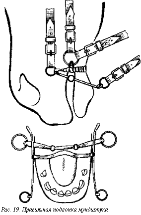 Как надеть мундштук на лошадь. 188001 6 24. Как надеть мундштук на лошадь фото. Как надеть мундштук на лошадь-188001 6 24. картинка Как надеть мундштук на лошадь. картинка 188001 6 24