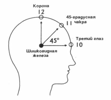 Где находится третье. Шишковидная железа чакра. Расположение третий глаз у человека. Шишковидная железа гденаходиться. Третий глаз чакра расположение.