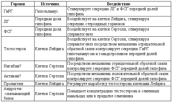 Гормоны животных. Половые гормоны у кошек. Половые гормоны собак. Гормоны животных таблица. Выработка гормонов у собак.